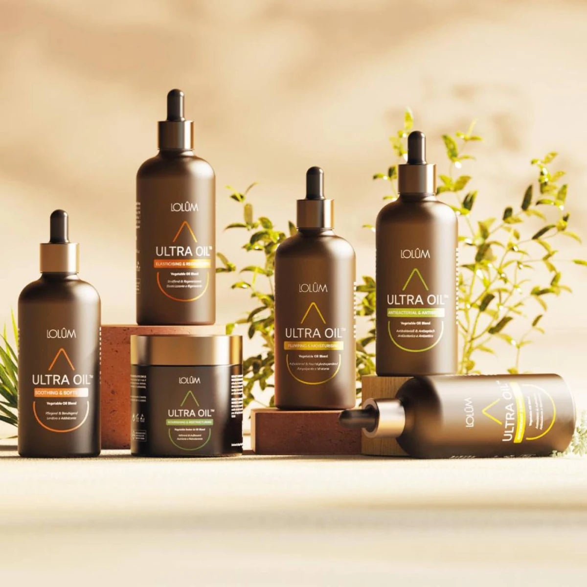 Bundle (Pack) d'huiles végétales naturelles (LOLSET02) - Jintashop